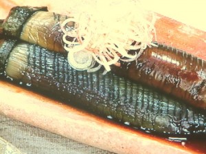 秋なすの煮物