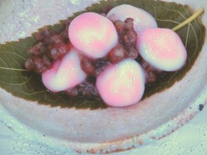 桜白玉