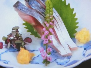 しめさば