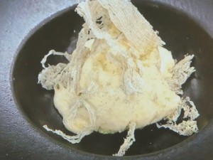 ととろ昆布入りジェラート