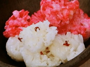 紅白菊花かぶ