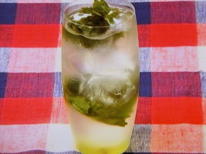 しそとすだちのモヒート